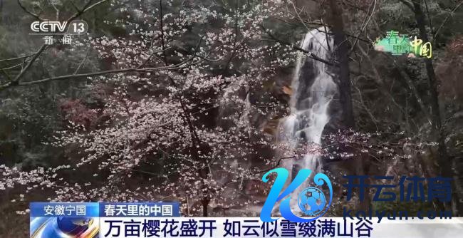 春天里的中国活力满满 花开随地赏春忙