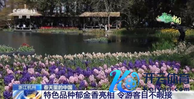 春天里的中国活力满满