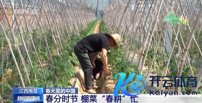 春天里的中国活力满满 花开随地赏春忙