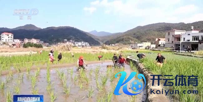 春天里的中国活力满满 花开随地赏春忙
