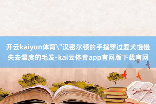 开云kaiyun体育＂汉密尔顿的手指穿过爱犬慢慢失去温度的毛发-kai云体育app官网版下载官网