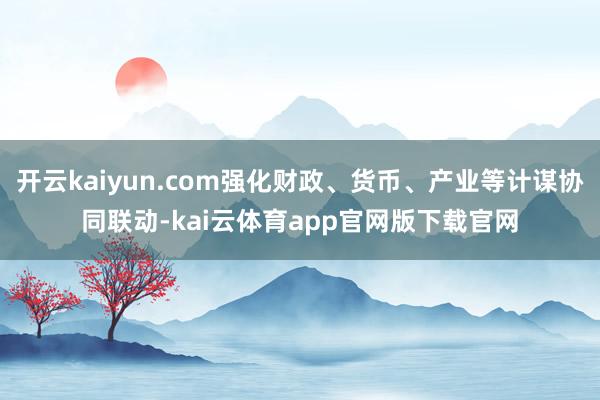 开云kaiyun.com强化财政、货币、产业等计谋协同联动-kai云体育app官网版下载官网