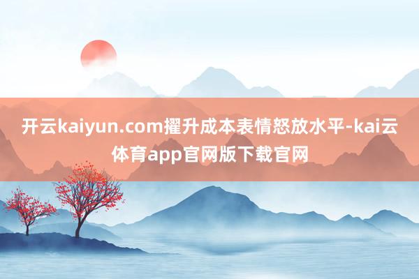 开云kaiyun.com擢升成本表情怒放水平-kai云体育app官网版下载官网